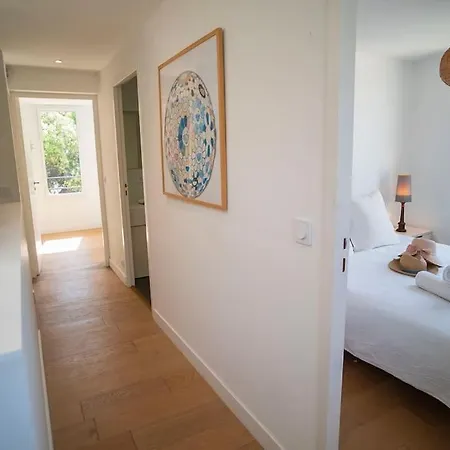 La Des Salants La Capte Presqu'île De Giens Hyères